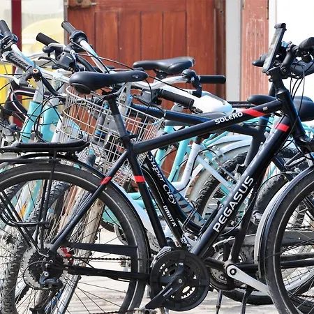 Go4surf Lofts Apartment