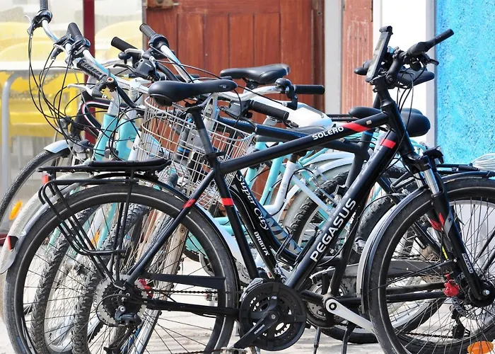 Go4surf Lofts Apartment